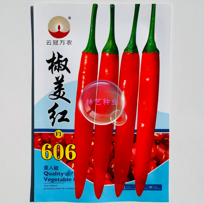 椒美红606辣椒种子中熟大果型美人椒种籽辣味香浓辣椒籽蔬