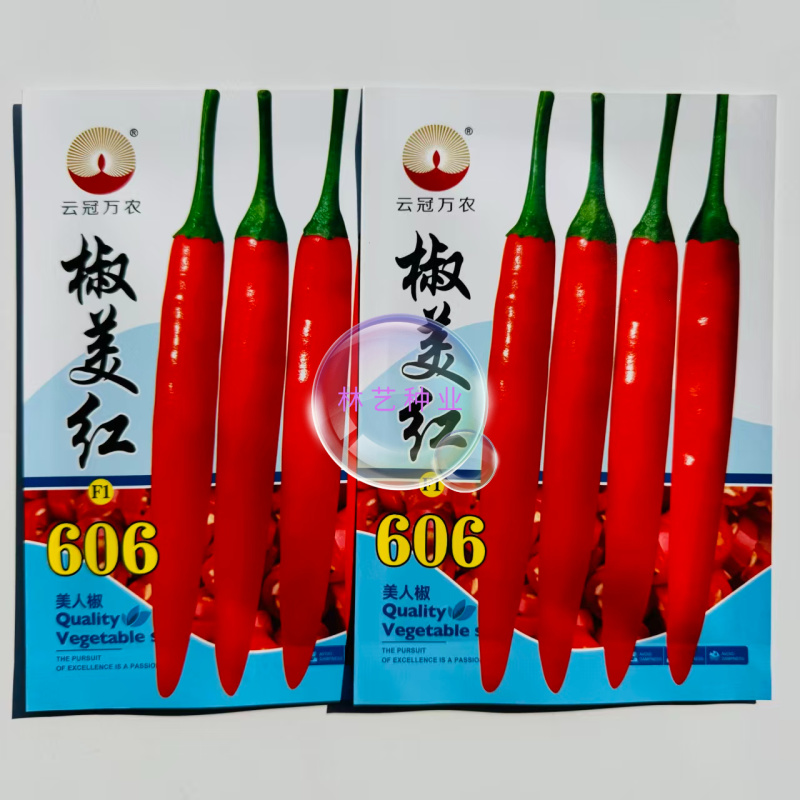 椒美红606辣椒种子中熟大果型美人椒种籽辣味香浓辣椒籽蔬