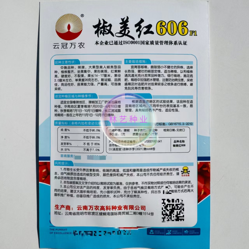 椒美红606辣椒种子中熟大果型美人椒种籽辣味香浓辣椒籽蔬