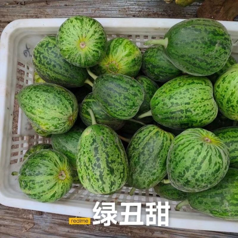 丰信恒绿丑甜甜瓜种子口感超甜绿肉甜瓜种籽大果高糖产量高