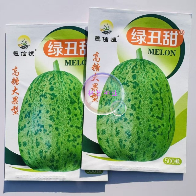 丰信恒绿丑甜甜瓜种子口感超甜绿肉甜瓜种籽大果高糖产量高