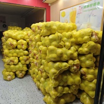 兴坪沙田柚个头均匀，又脆又甜