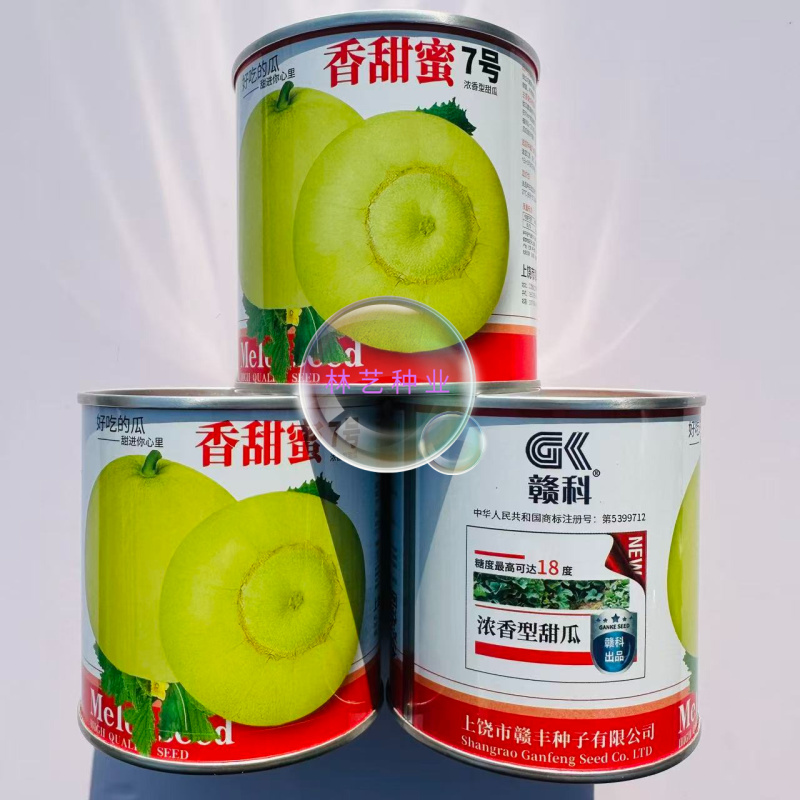 赣科香甜蜜7号甜瓜种子硬度好香味浓肉质甜脆苹果型淡绿色