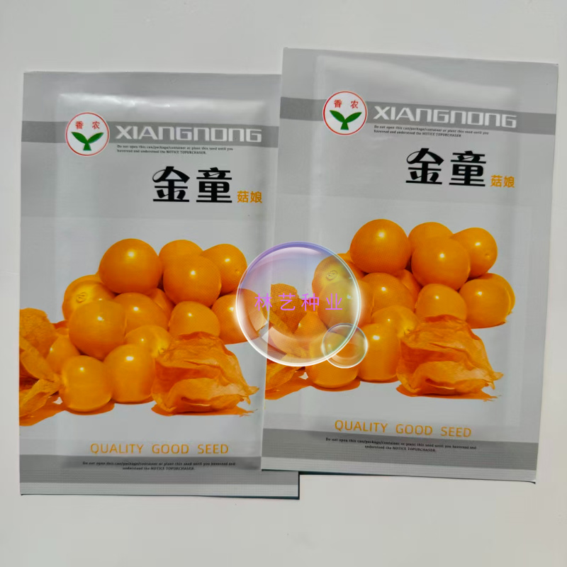 金童黄姑娘种子香甜可口皮薄肉厚甜度高蔬菜水果种子北方特色