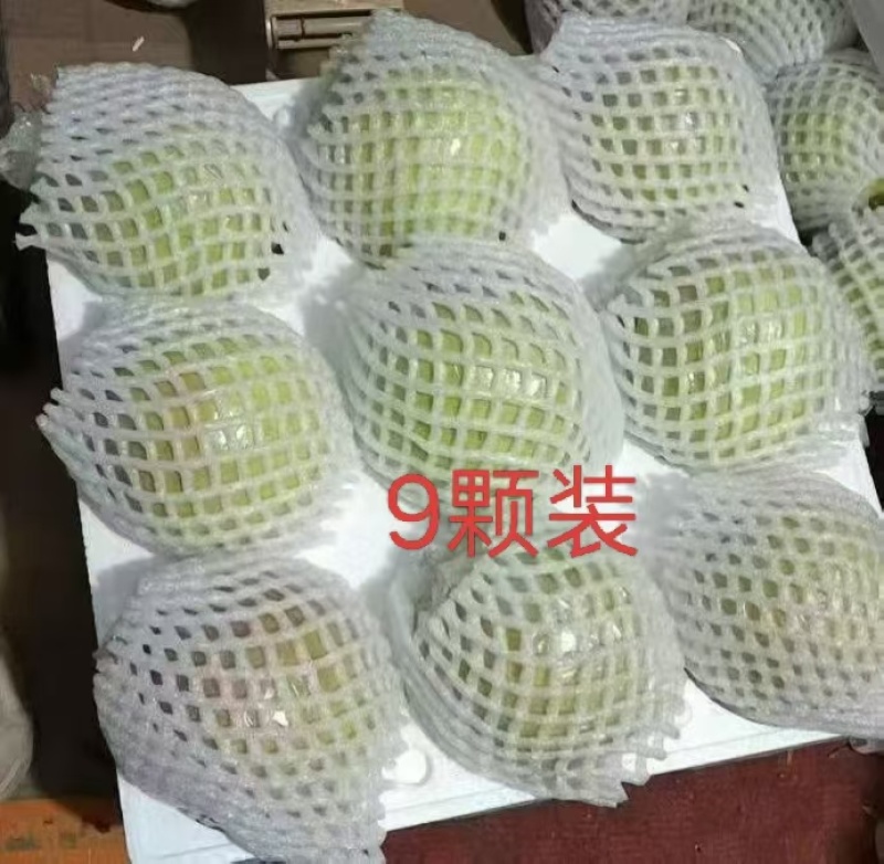 山西隰县玉露香梨