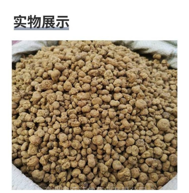 开州区干玄胡