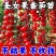红圣女果苗黄圣女果基地直发