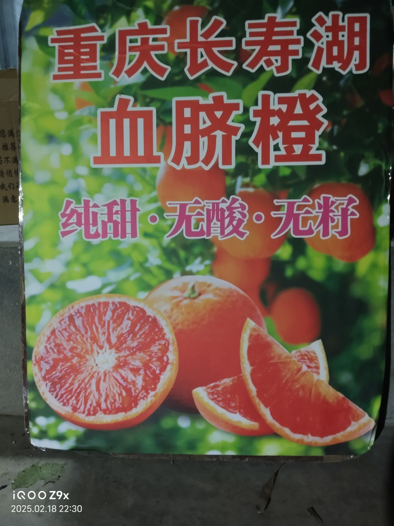 重庆血橙熟了，欢迎各位朋友前来订购，