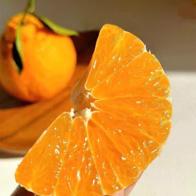 精品不知火，70起采，颜色好个头大，味道咪味甜