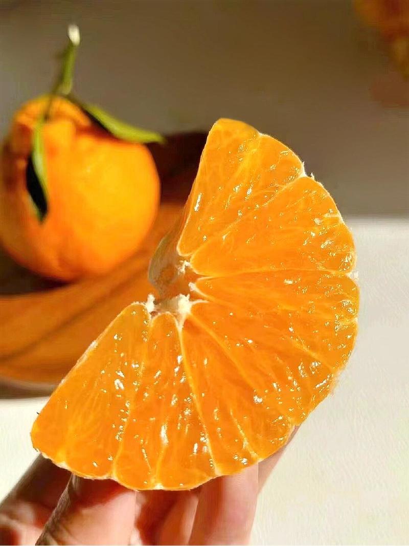 精品不知火，70起采，颜色好个头大，味道咪味甜