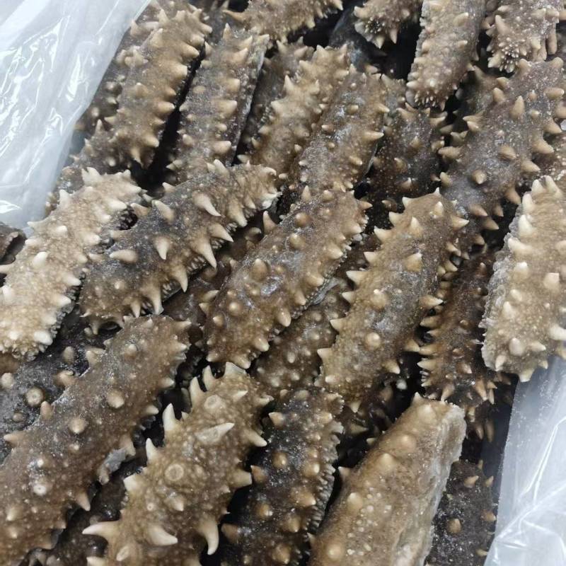 即食海参