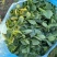 东台青菜苔大量上市