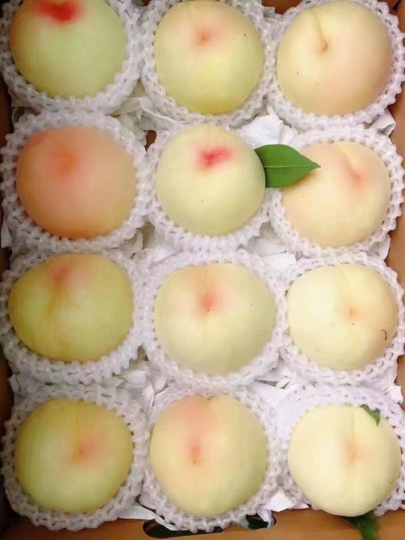 水蜜桃