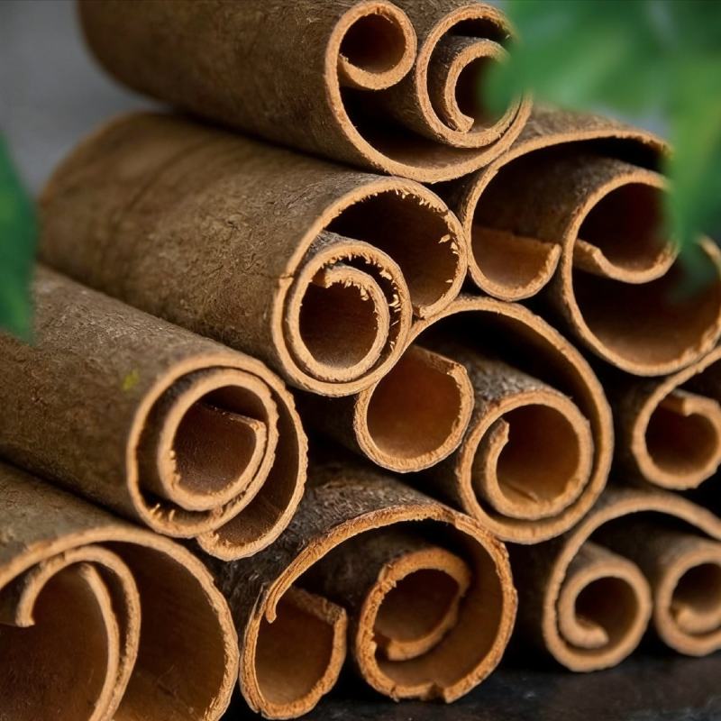 广东6年老桂皮质量保证当天发货新品上架包邮