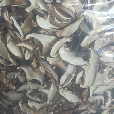 菇条