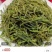 野生有机毛尖一芽二叶26年新茶，0️⃣零农残！