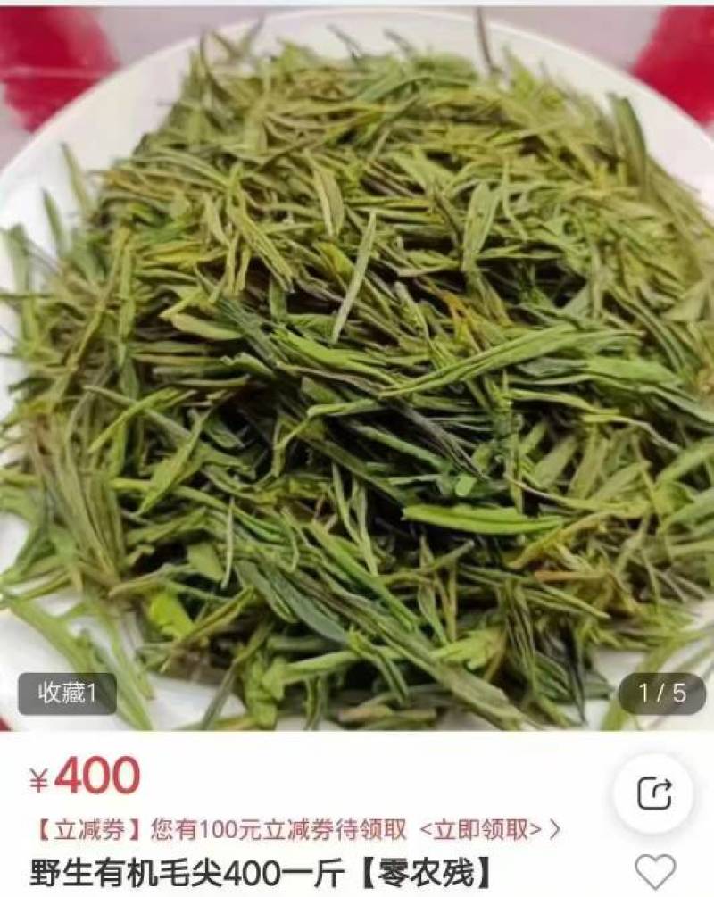 野生有机毛尖一芽二叶26年新茶，0️⃣零农残！