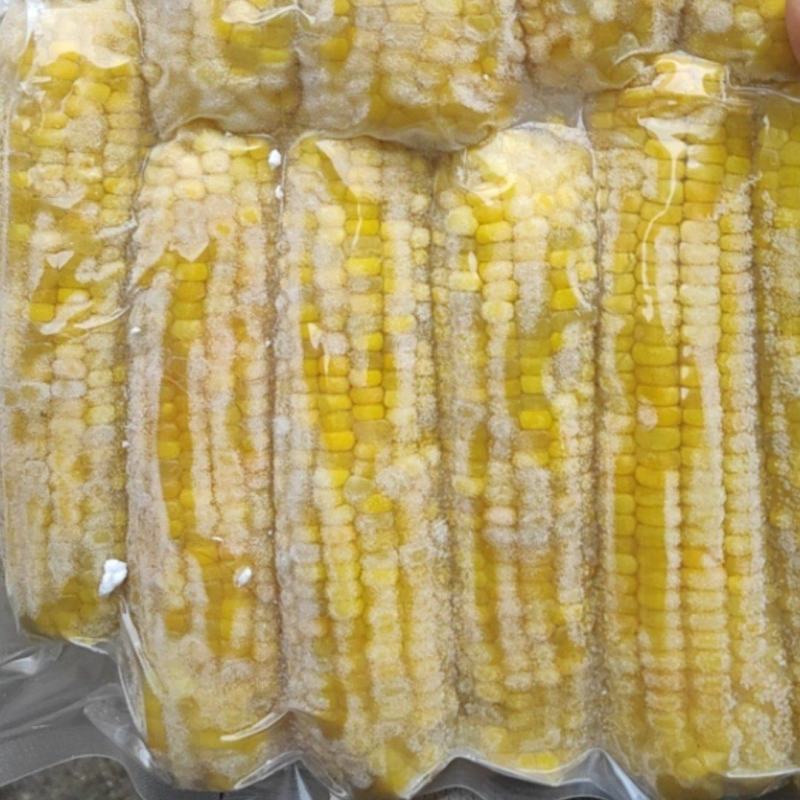 东北黏玉米，自产自销，***