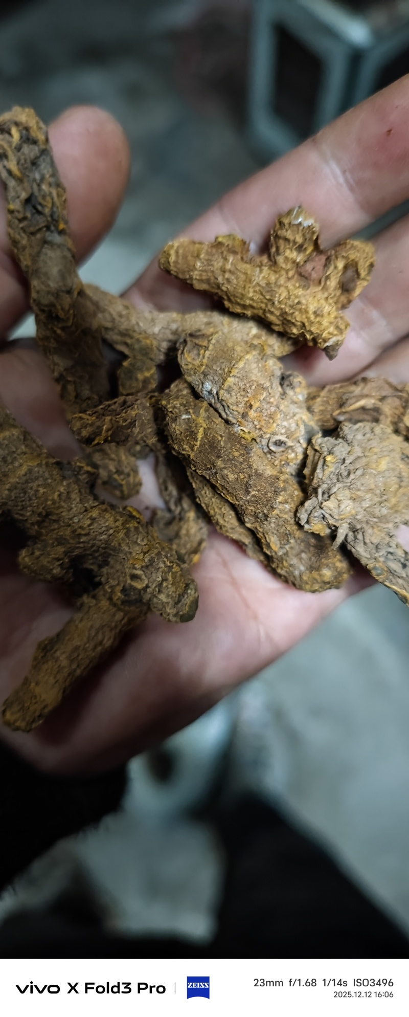 干货姜黄，姜黄素6.9以上自己加工，可实地考察