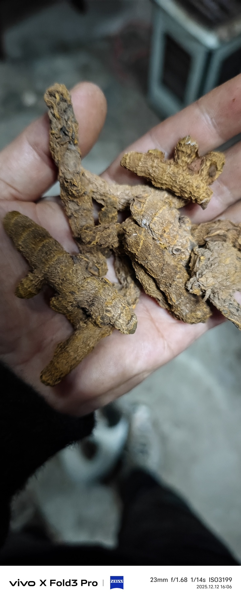 干货姜黄，姜黄素6.9以上自己加工，可实地考察