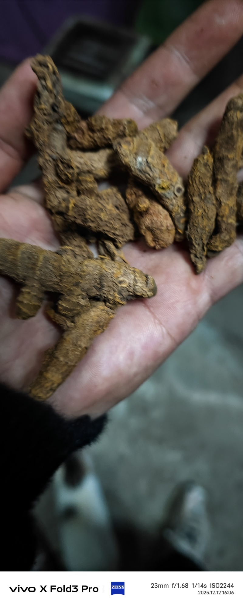干货姜黄，姜黄素6.9以上自己加工，可实地考察