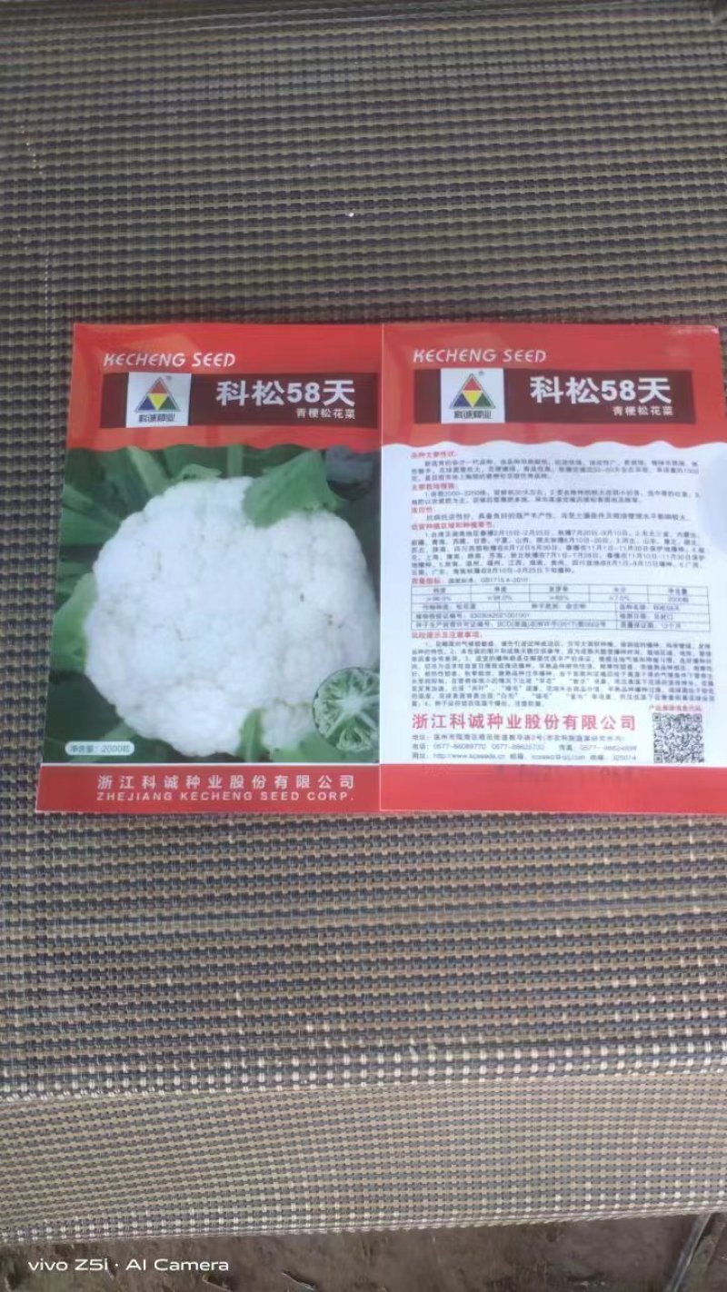 邯郸热销菜花苗松花苗松花菜苗实花苗，雪白有机花菜苗苗