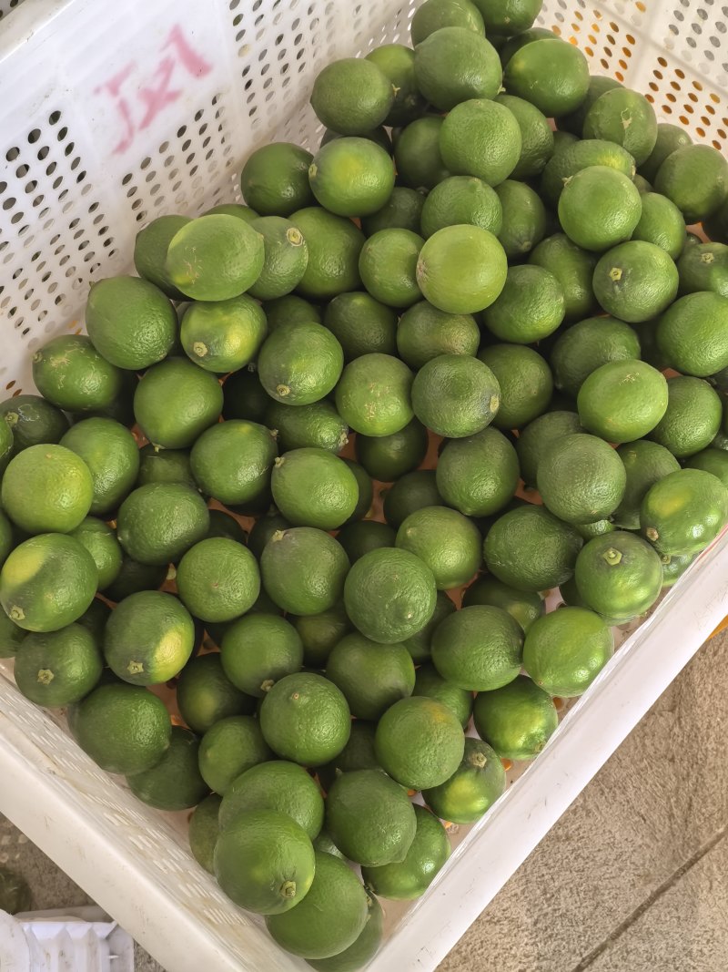 无籽青柠檬
