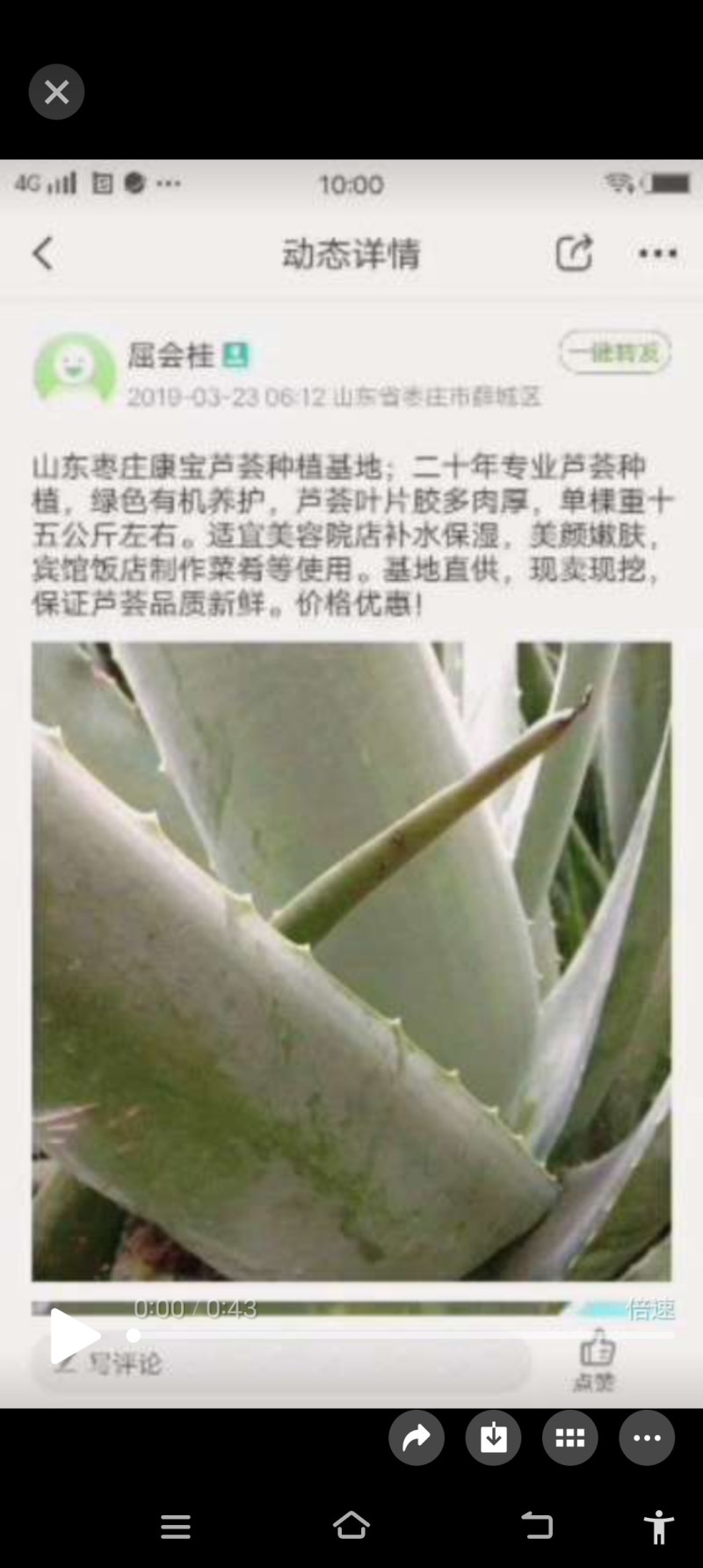 芦荟