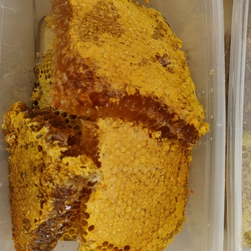 深山土蜂蜜