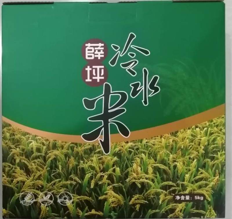 高山冷水米