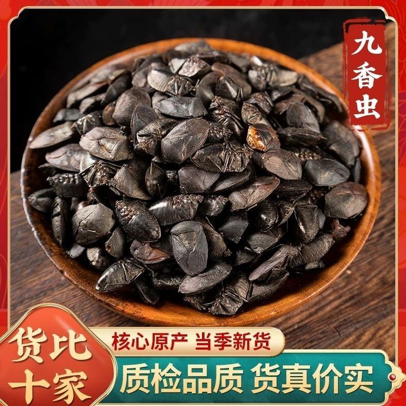 九香虫臭板虫打屁虫臭大姐瓜黑蝽黑兜虫生炒九香虫泡酒中药材