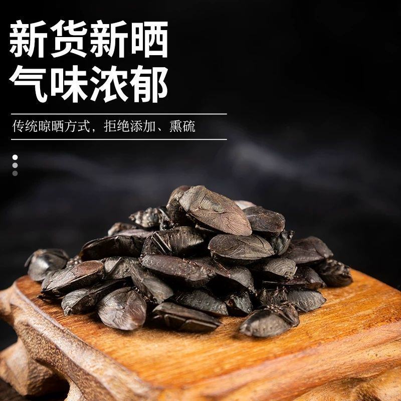 九香虫臭板虫打屁虫臭大姐瓜黑蝽黑兜虫生炒九香虫泡酒中药材