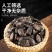九香虫臭板虫打屁虫臭大姐瓜黑蝽黑兜虫生炒九香虫泡酒中药材