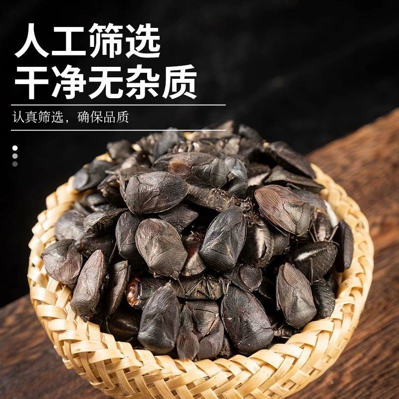 九香虫臭板虫打屁虫臭大姐瓜黑蝽黑兜虫生炒九香虫泡酒中药材