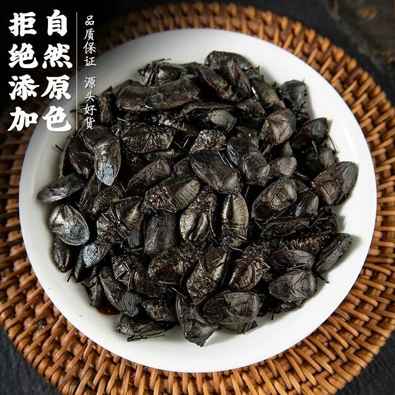 九香虫臭板虫打屁虫臭大姐瓜黑蝽黑兜虫生炒九香虫泡酒中药材