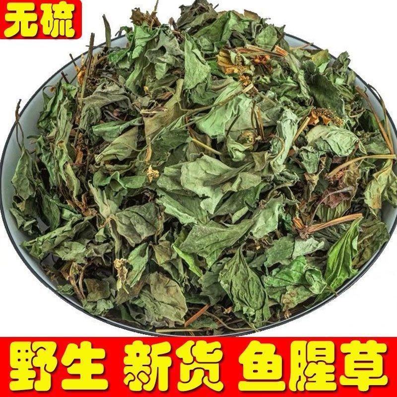 批发鱼腥草正品鱼腥草新鲜干货中药材