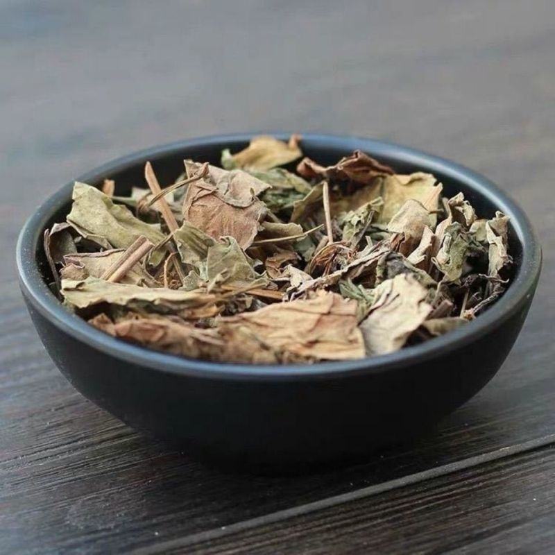 批发鱼腥草正品鱼腥草新鲜干货中药材