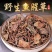 批发鱼腥草正品鱼腥草新鲜干货中药材