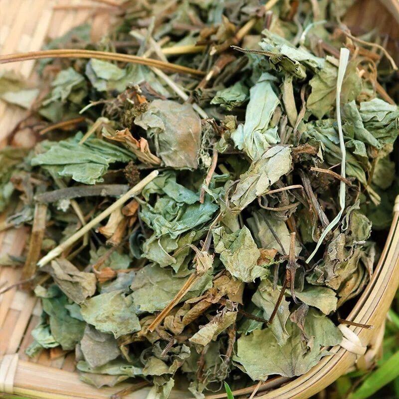 批发鱼腥草正品鱼腥草新鲜干货中药材