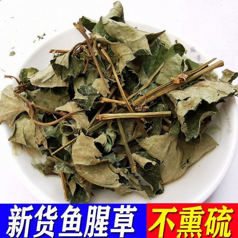 批发鱼腥草正品鱼腥草新鲜干货中药材