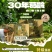 野生葛根粉，大量现货速发，伴手礼公司福利团购活动