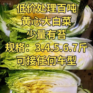 威宁百吨黄心大白菜底价处理，量大从优，产地直发！