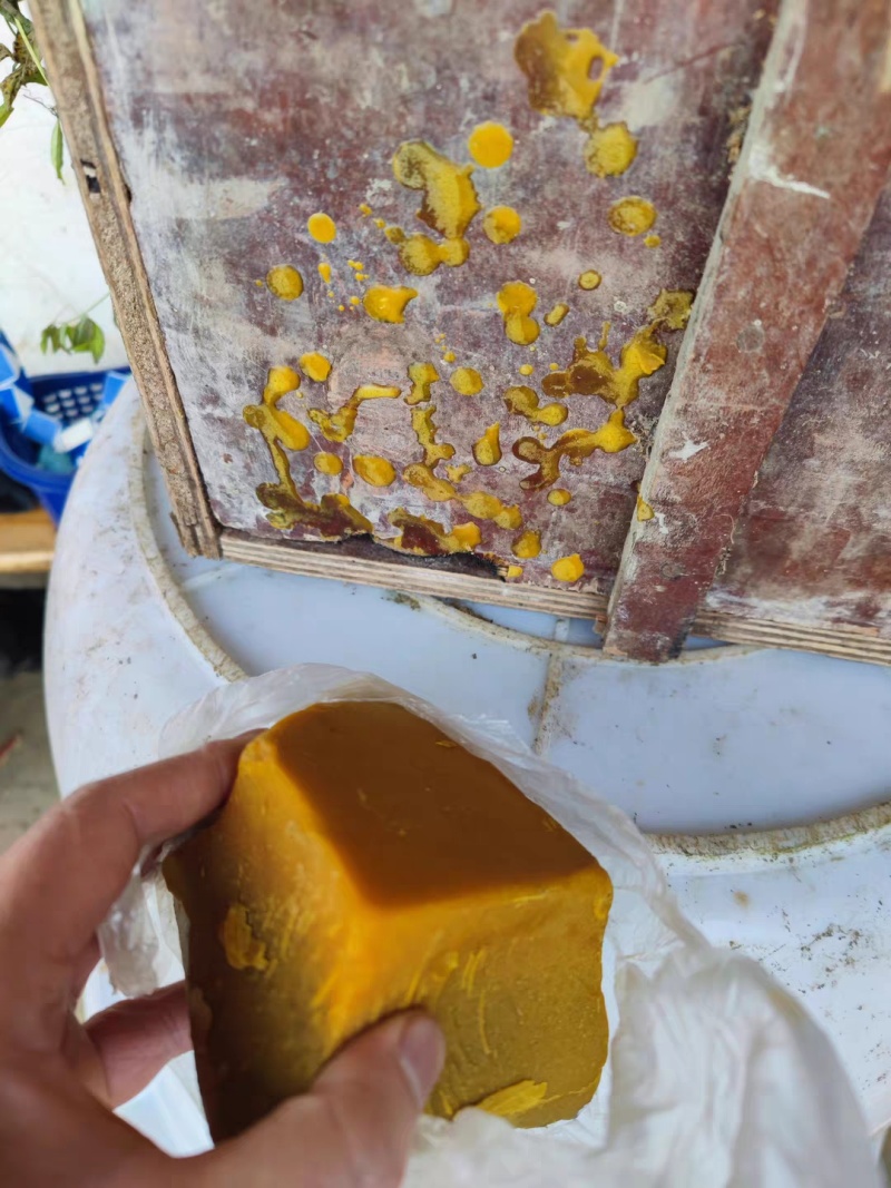 纯中蜂土蜂蜡养蜂诱蜂非招蜂水老蜂巢蜡峰蜡诱蜂桶箱诱蜂狂人