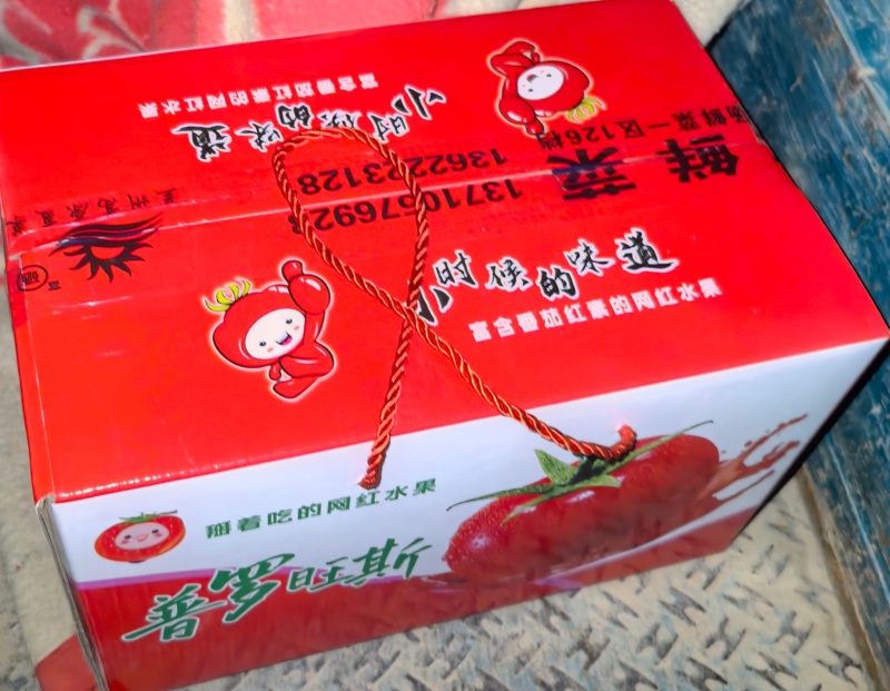 普罗旺斯