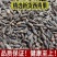 批发中药材青果西青果青果干青果子各种规格保质保量
