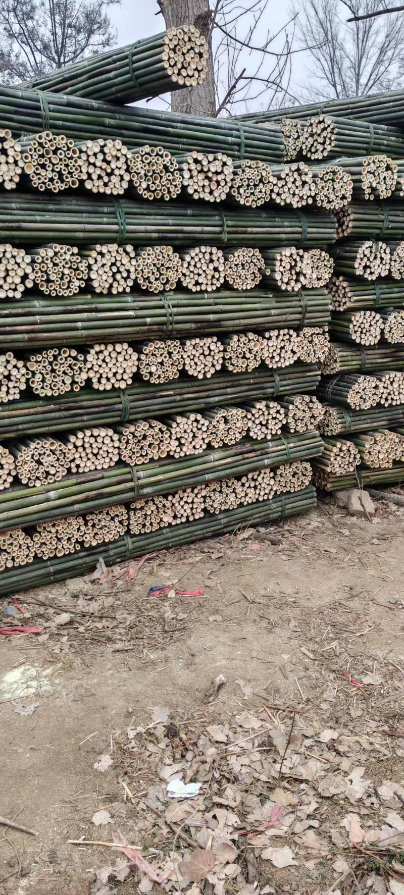 竹竿，烤竿，烤直竹竿，花圈竹条竹片，绿化撑树竹竿，菜架竹