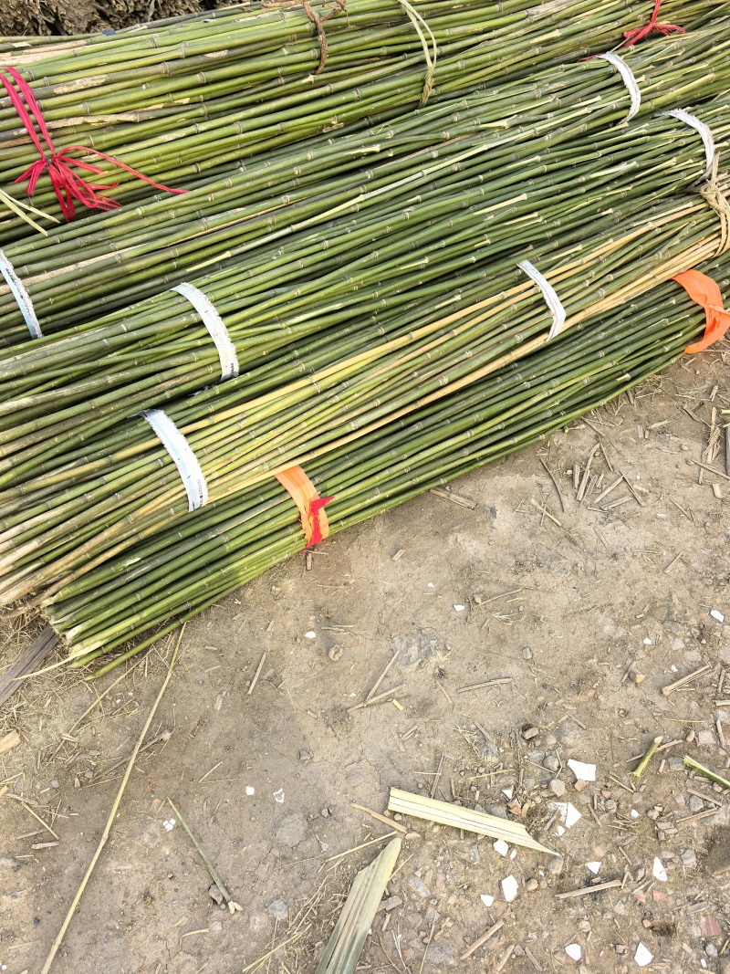 竹竿，烤竿，烤直竹竿，花圈竹条竹片，绿化撑树竹竿，菜架竹