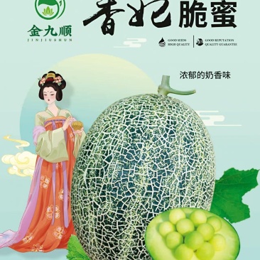 香妃脆密哈密瓜绿肉密瓜糖度高18一19奶香冰糖脆甜新品