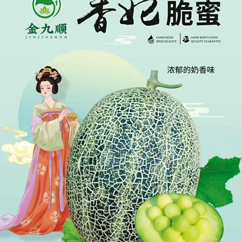 香妃脆密哈密瓜绿肉密瓜糖度高18一19奶香冰糖脆甜新品