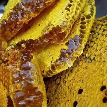 大山里野生蜂蜜，大量出售，常年供应